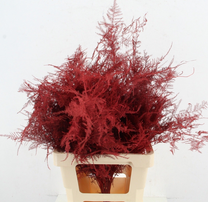 <h4>ASP OV KLB H%</h4>