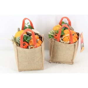 arr4 Sierfruit MB - Jute tas herfst x6