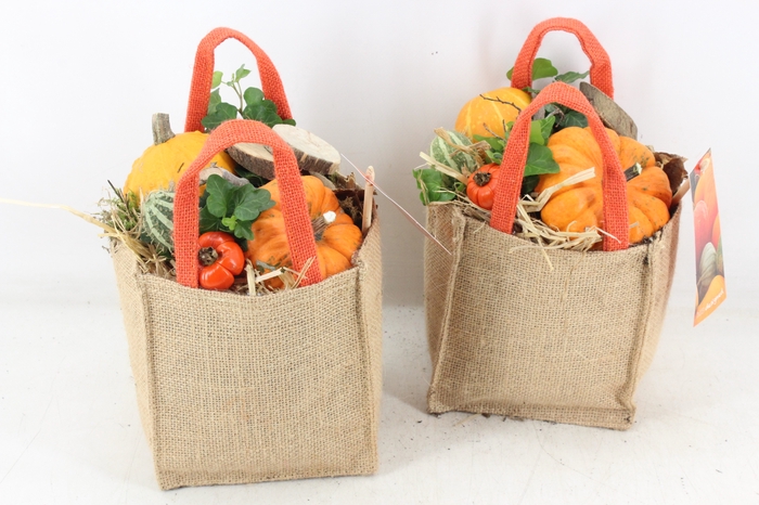 <h4>arr4 Sierfruit MB - Jute tas herfst x6</h4>