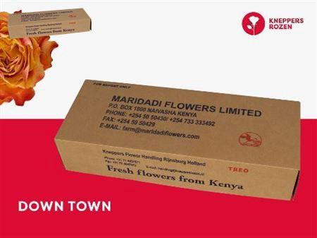 <h4>R Gr Downtown!</h4>