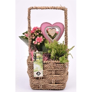 Touw mand vierkant 12,5x12,5cm