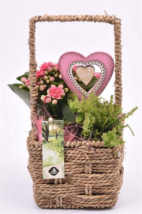 <h4>Touw mand vierkant 12,5x12,5cm</h4>