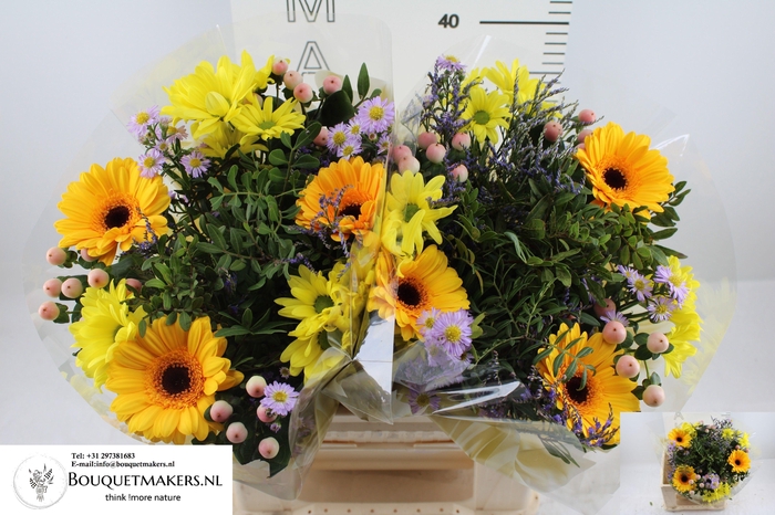 <h4>GEM BOEKET OV</h4>