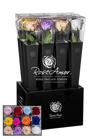 <h4>Lori 50cm Assorted</h4>