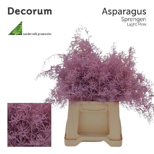 <h4>ASP OV KLB H%</h4>