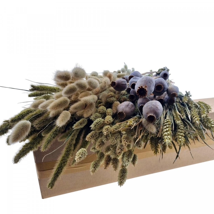 <h4>Dried flowers DIY box assorti 65-70cm</h4>