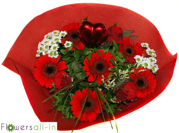 <h4>M202405-rood</h4>