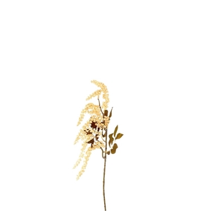 Berry Jungle 72cm