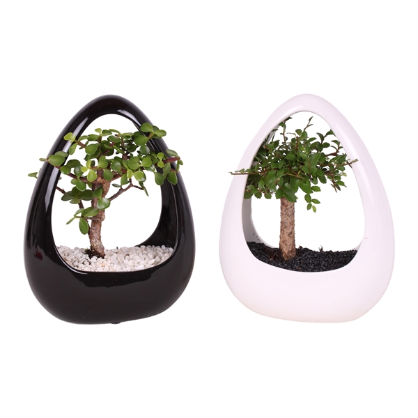 <h4>Bonsai Mixed pot ø12cm in ø19cm Ikebana Ceramic Black/White</h4>