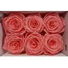 Ro Pres Classic Pink Light