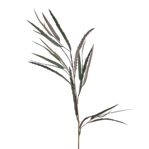 AF Grevillea L85cm Green