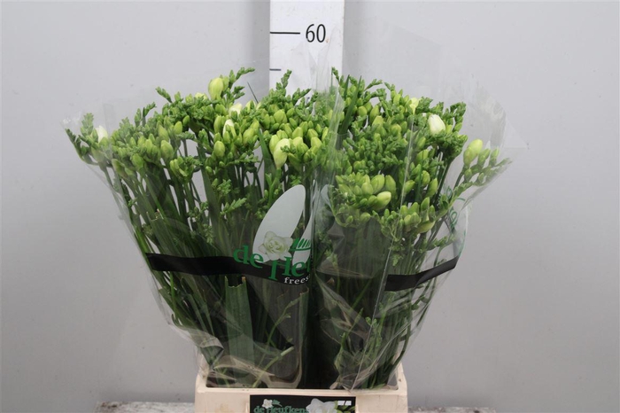 <h4>Fr Du Vivre</h4>