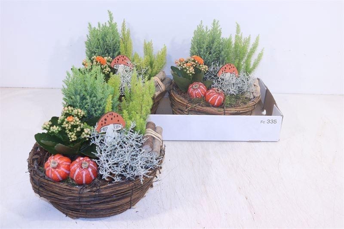 <h4>ARR TUINPLANTEN</h4>