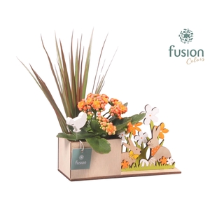 Pasen Haas hout met Arrangement