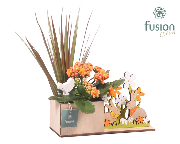 <h4>Pasen Haas hout met Arrangement</h4>