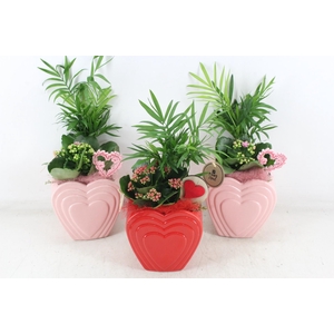 arr2 PL - Ker. hart pot mix 250/6 - roze/rood