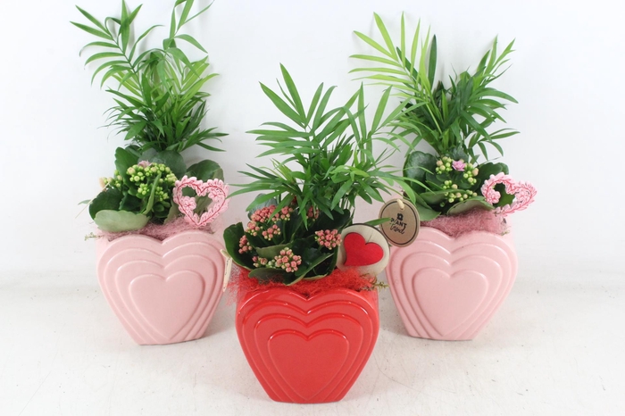 <h4>arr2 PL - Ker. hart pot mix 250/6 - roze/rood</h4>