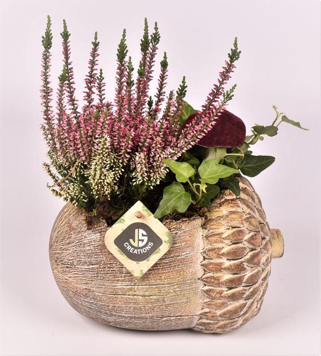 <h4>Cement eikel bruin 23x17cm</h4>