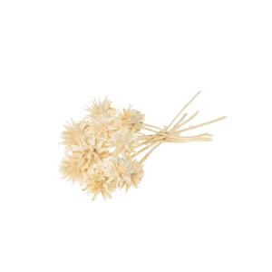 Plumosum Branch 10pc Bleached White