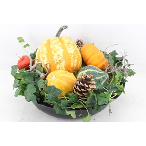arr4 Sierfruit MB - Zink schaal black