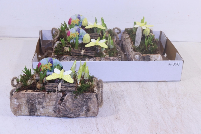 <h4>ARR BOL KNOLGEWAS</h4>