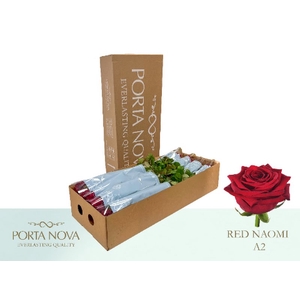 R Gr Red Naomi Unica Box A2