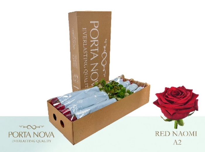 <h4>R Gr Red Naomi Unica Box A2</h4>