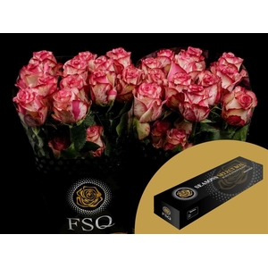 R GR Magic Times Box