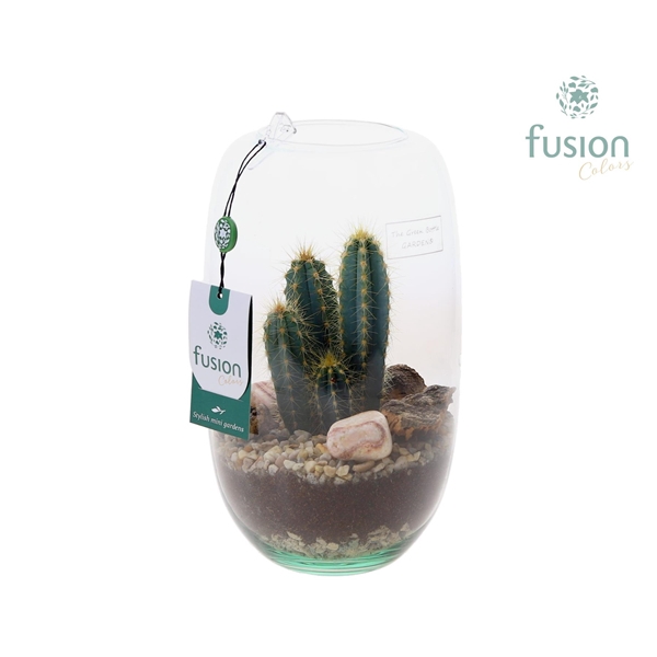 <h4>Green Bottle Isabella Medium met Cactussen</h4>