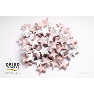 Dried Deco Coconut Star White