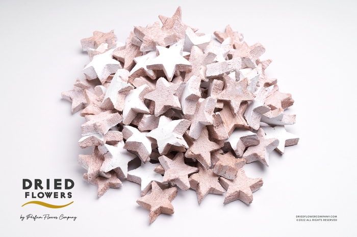 <h4>Dried Deco Coconut Star White</h4>