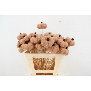 Stick Pumpkin Velvet 8cm Khaki