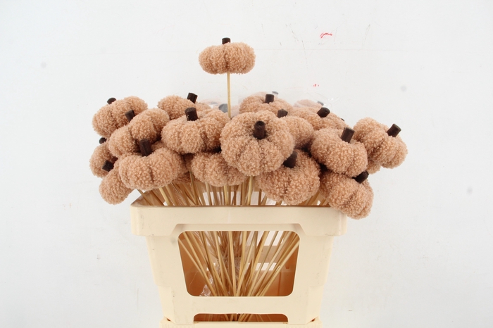 <h4>Stick Pumpkin Velvet 8cm Khaki</h4>