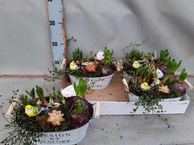 <h4>ARR BOL KNOLGEWAS</h4>