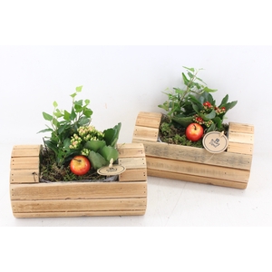 arr2 PL - Hout boomstam x4 - rood/oranje