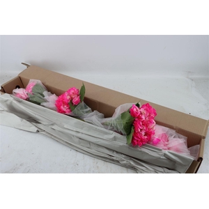 Hydr M Candy Pink Tinted X12