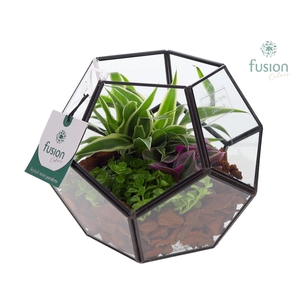 Geometrisch planter met groenen planten arrangement