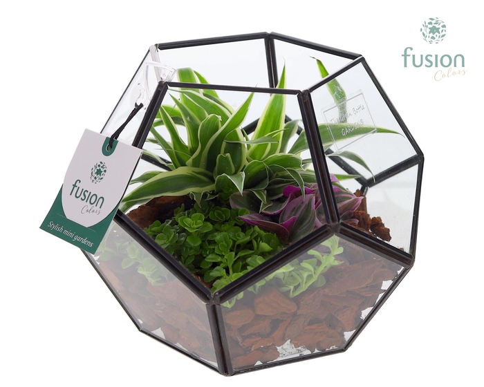 <h4>Geometrisch planter met groenen planten arrangement</h4>