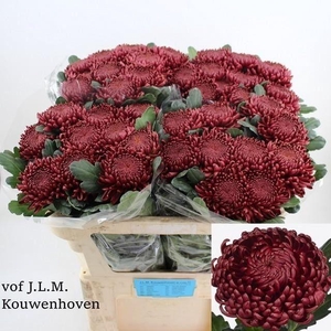 Chr G Bigoudi Red