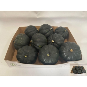 Cucurbita Groen