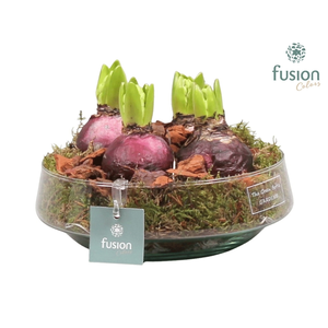 Green Bottle Iris Medium met Hyacinten