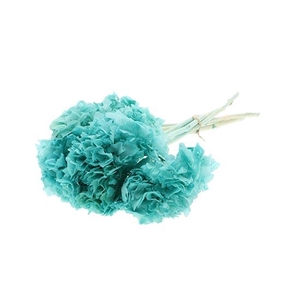 Bunch Hydrangea Pres.L30