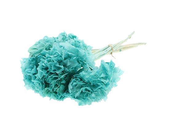 Bunch Hydrangea Pres.L30