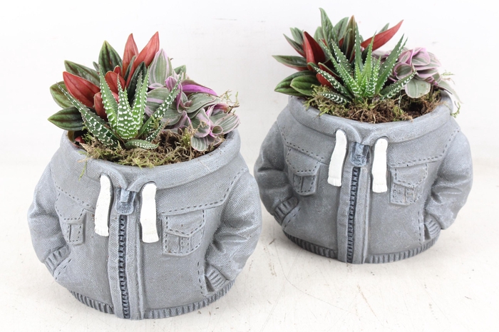 <h4>arr3 SN - Hoody grey x4</h4>