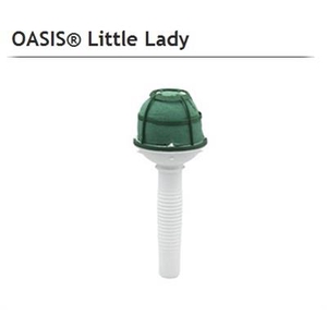 OASIS 11-03007 LITTLE LADY X6