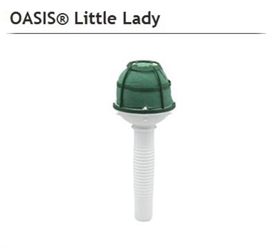 <h4>OASIS 11-03007 LITTLE LADY X6</h4>