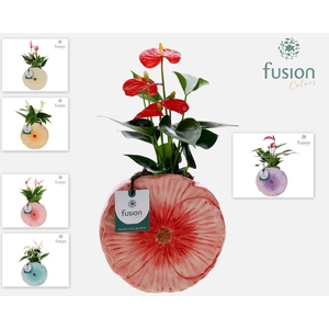 Keramiek Medium pot met Anthurium