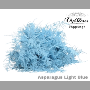 ASP OV EXTRA VEREN LIGHT BLUE