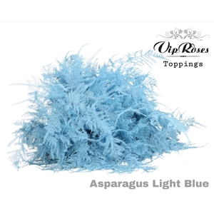 ASP OV EXTRA VEREN LIGHT BLUE