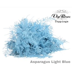 Asp Ov 1e Veren Light Blue